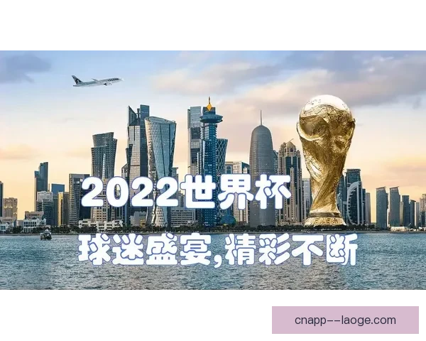 世界杯官方指定供应商全方位保障球场安检安全运营方案